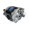 CPQD R Series hydraulic pump, RW22